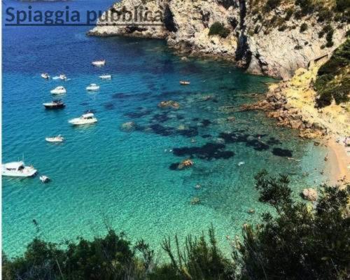 فيلا Ampio Monolocale Con Balcone Fronte Mare بورتو سانتو ستيفانو المظهر الخارجي الصورة